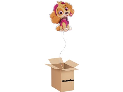 balony box 2024 06 06T135040.111