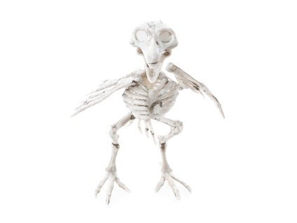 pp raven skeleton 12cm x 11 5cm x 18 5cm