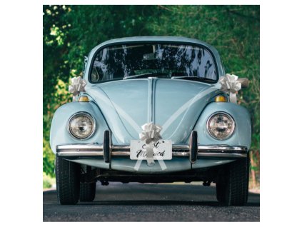 car kit 5 pieces white with silver bow