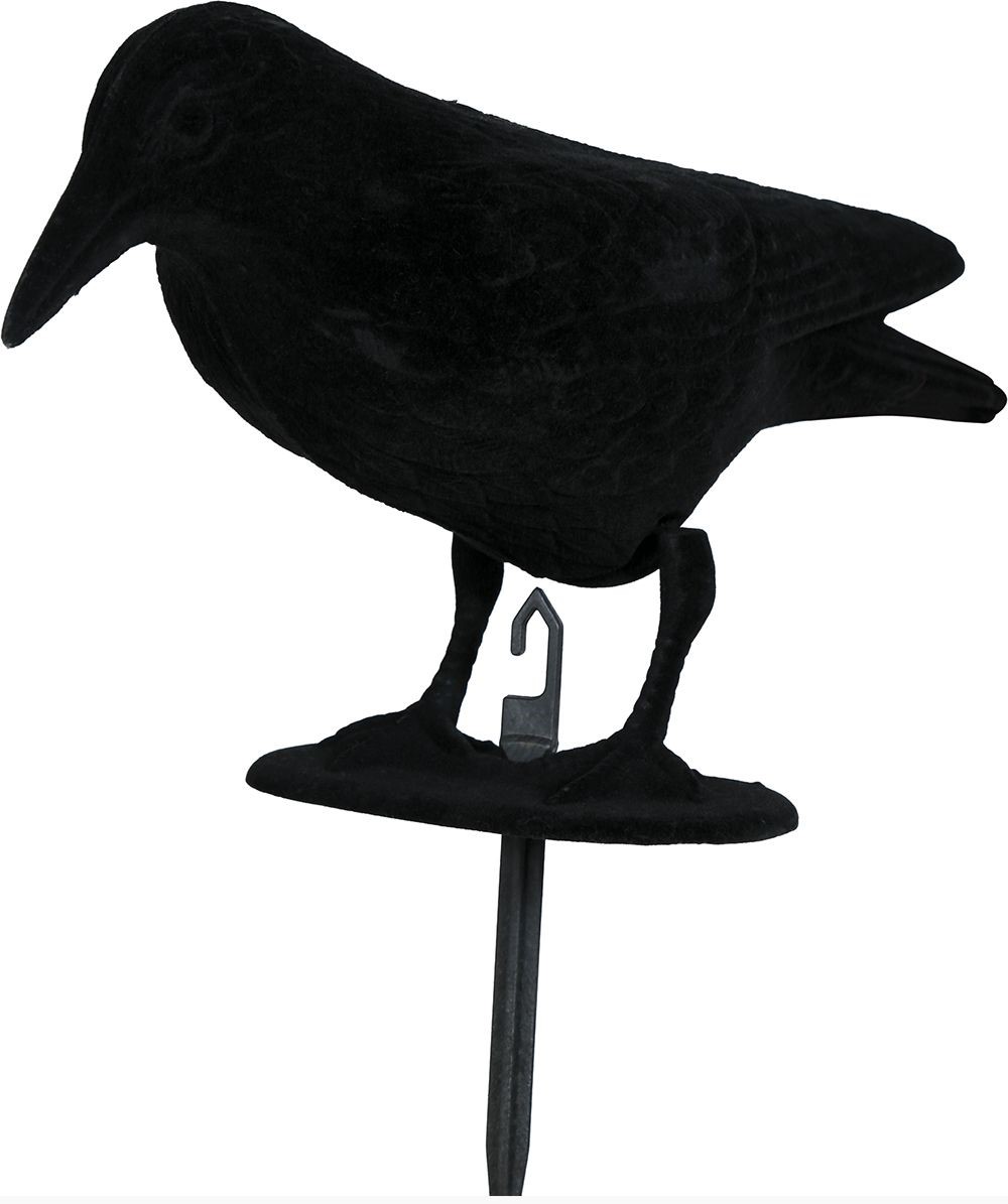 E-shop Guirca Zápich do kvetináča - Havran 30 cm