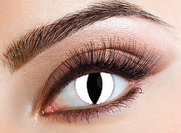 Eyecasions Šošovky White Cat