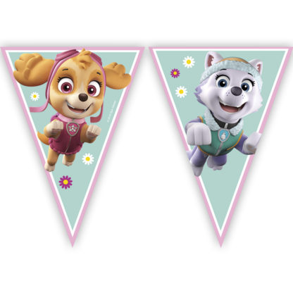 E-shop Procos Banner Paw Patrol Skye & Everest
