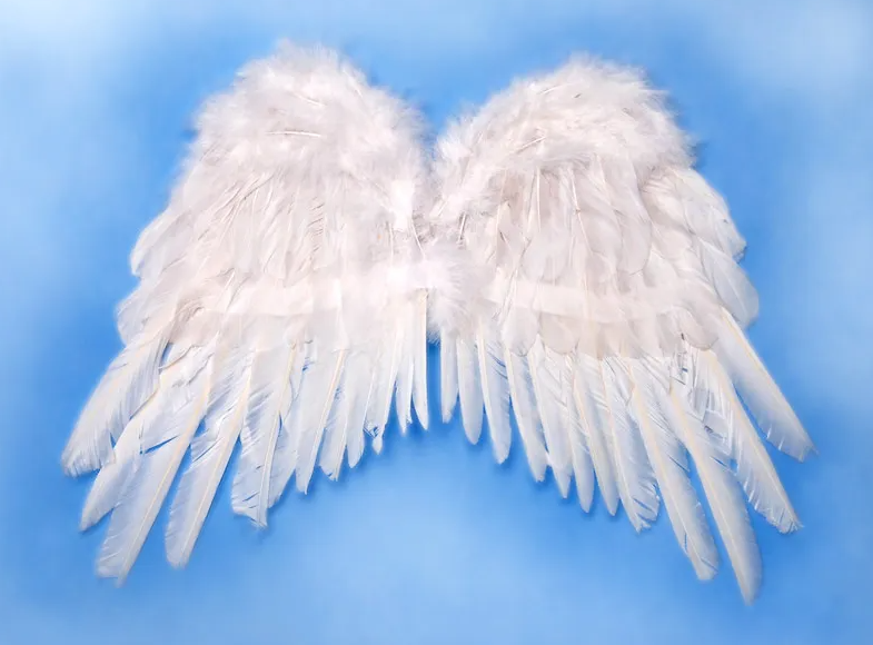 PartyDeco Biele Anjelské krídla