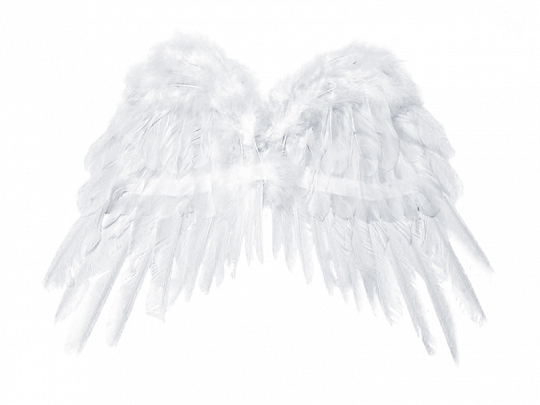 E-shop PartyDeco Biele Anjelské krídla