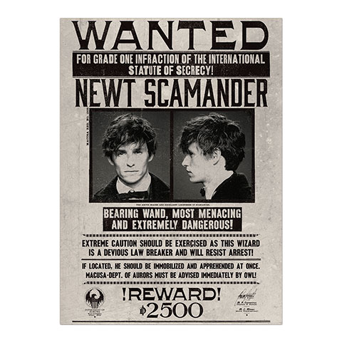 E-shop Minalima Plagát Newt Scamander - Fantastické zvery