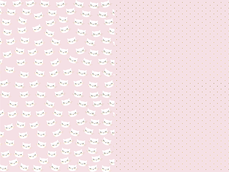 E-shop PartyDeco Baliaci papier - Ružová mačička mix 2 ks