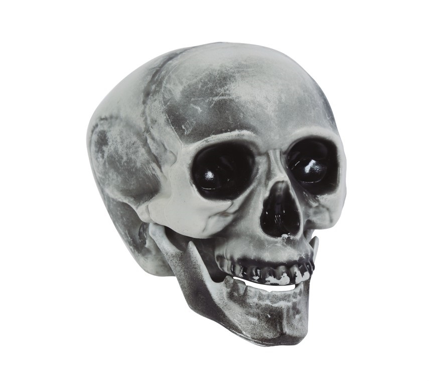E-shop Guirca Dekorácia - Lebka 20 cm