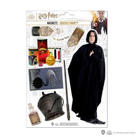 E-shop Distrineo Súprava penových magnetiek Harry Potter - Severus Snape 8ks