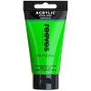 780804866384 RVS ACRYLIC COLOUR 75ML FLUORESCENT GREEN [FRONT] 780804866384