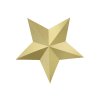 Visiaca dekoracia hviezda