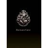 Projektor Harry Potter