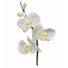 Nerezový vykrajovač lístkov Orchidea - Moth Orchid Cutter 3 tvary
