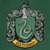 Banner Harry Potter - Slizolin