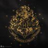Shopper Kabelka Harry Potter - Rokfort