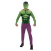 Pánsky kostým Classic - Hulk