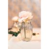 jane mini vase clear dia 6 5cm x 11 5cm (1)