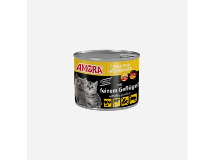 neu produkte katze fleisch pur kitten FeinemGefluegel 900x900
