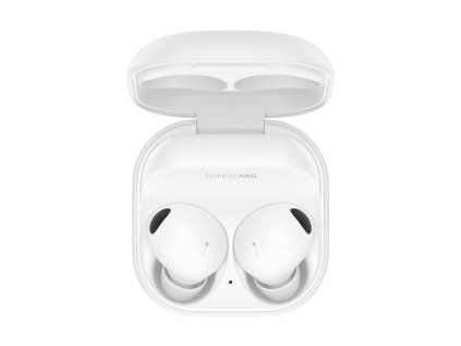 021 product galaxy buds2pro white case top combination