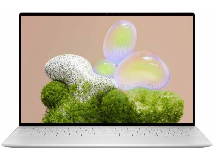 w1 scaled e1725809884767