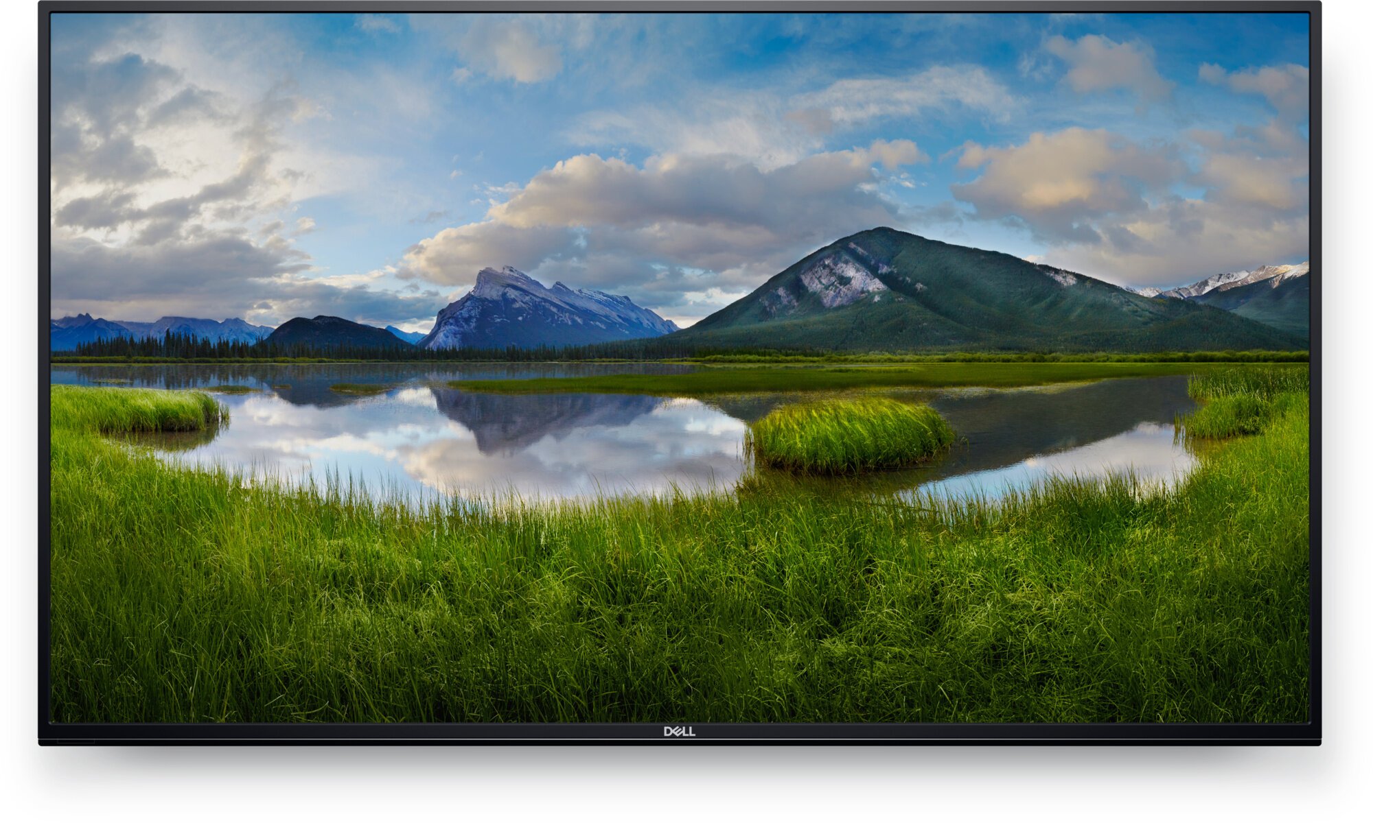 Dell Dell C5519QA 54.6"