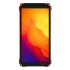 BV4900s Orange 04