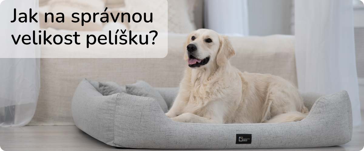 Jak vybrat velikost pelechu pro psa?