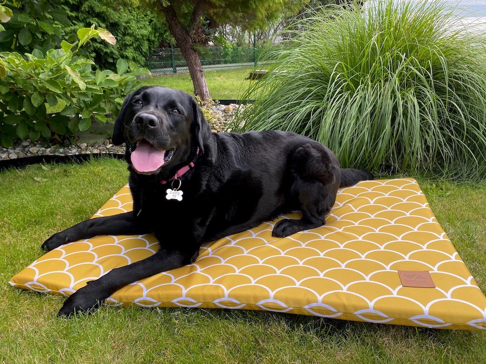 Matrace pro psa BedPet Honey Shell 