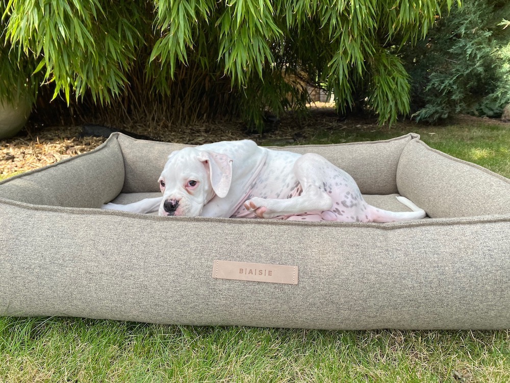 Ortopedický pelíšek pro psa BASE Nature 