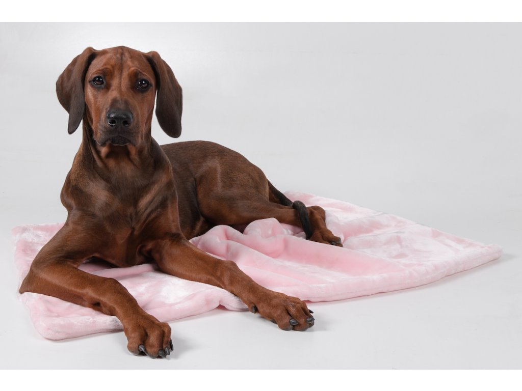 Deka pro psa COCO - růžová - HelloDog psí e-shop