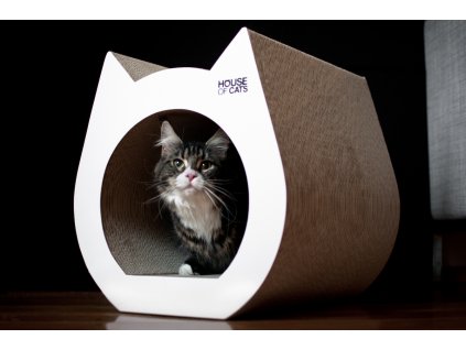 kartonove skrabadlo pro kocky cat white