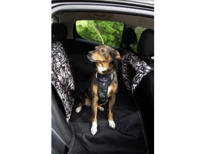 Snímek obrazovky 2026 02 04 v 21.28.42