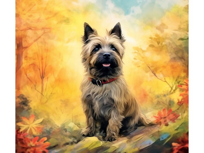 CairnTerrier