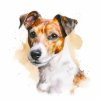jack russel (1)