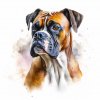 Německý boxer (2)