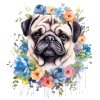 mops (2)