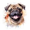 mops (3)