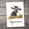 agronom