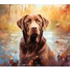 labrador 2