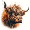 highland 2