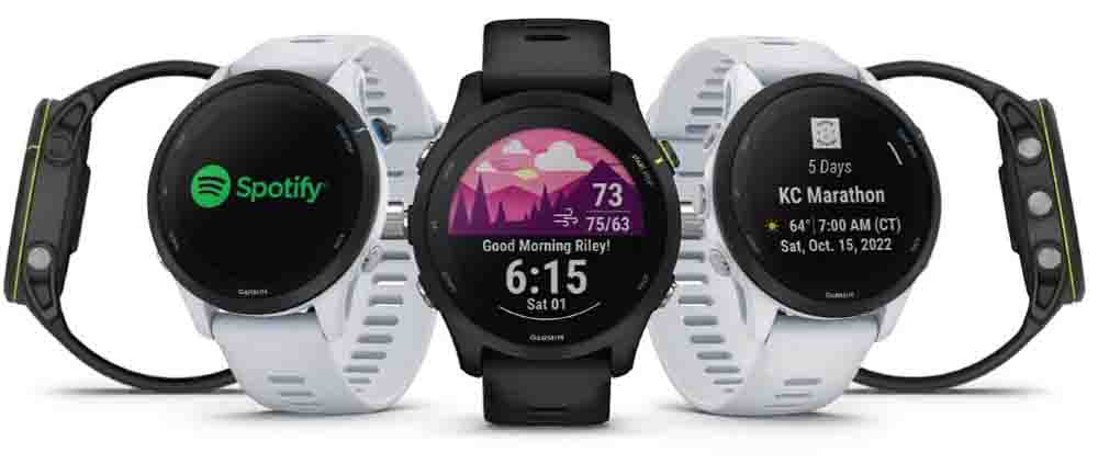 46794-D-FR255M-family