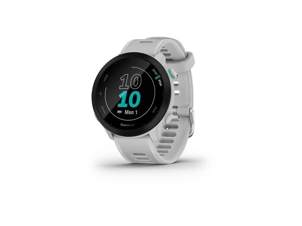 garmin forerunner 45 zap
