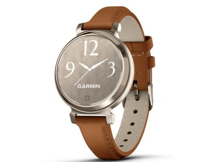 garmin-lily2-classic-0100283902