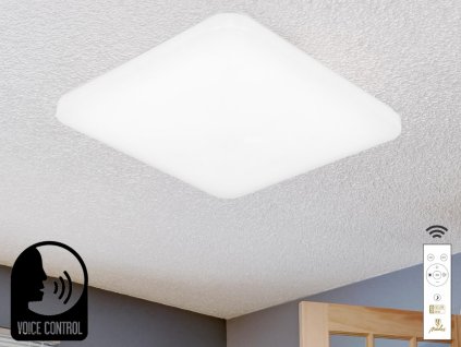 LED stropná lampa OPAL + DO + OVLÁDANIE HLASOM 48W - LC902S/SV