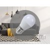 LED žiarovka 8W - G45 / E27 / SMD / 4000K - ZLS829