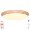 LED stropné svietidlo OPAL + diaľkový ovládač + Wifi 48W - LC942W