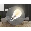 LED žiarovka / filament 6W - A60 / E27 / 3000K - ZLF511