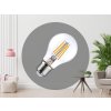 LED žiarovka / filament 12W - A60 / E27 / 4000K - ZLF523