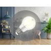 LED žiarovka / filament BIELY 7,5W - A60 / E27 / 3000K - ZWF101