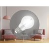 LED žiarovka / filament BIELY 9W - A60 / E27 / 4000K - ZWF202