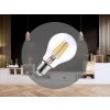 LED žiarovka / filament 5W CLEAR - A60 / E27 / 3000K - ZLF511A